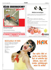 Síða 15