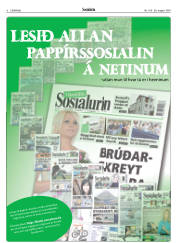Síða 6