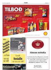 Síða 19