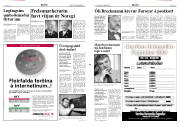 Síða 3