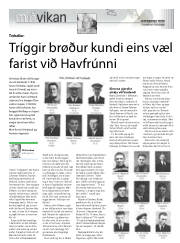 Síða 17