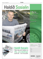 Síða 29