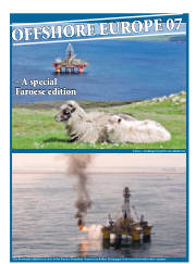 Síða 1