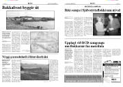Síða 7