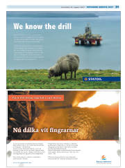 Síða 31