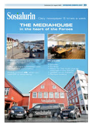 Síða 33