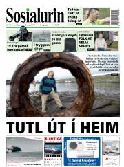 Síða 1
