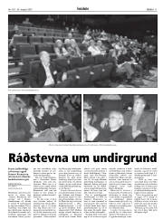 Síða 11