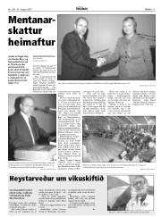 Síða 11