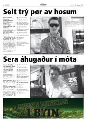 Síða 20