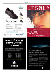 Síða 29