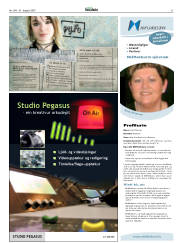 Síða 31