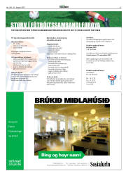 Síða 33