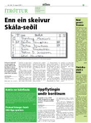 Síða 35