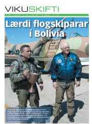 Síða 1