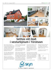 Síða 19