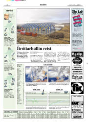Síða 21