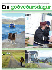 Síða 22