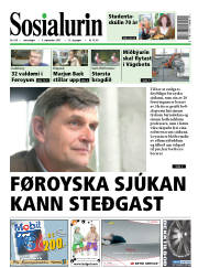 Síða 1
