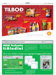 Síða 4