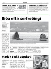 Síða 8