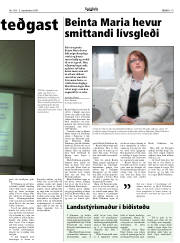 Síða 19