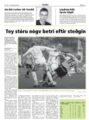 Síða 31