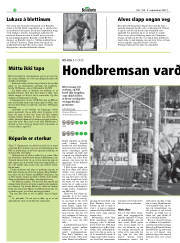 Síða 32