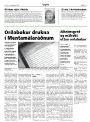 Síða 11