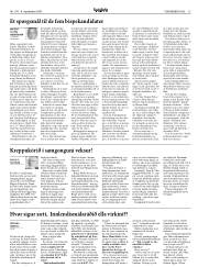 Síða 13