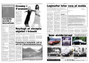 Síða 5