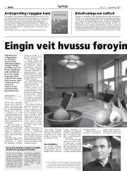 Síða 8