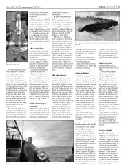 Síða 19