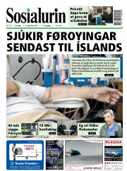Síða 1