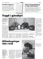 Síða 7