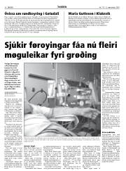 Síða 28