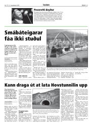 Síða 29