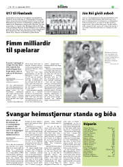 Síða 31