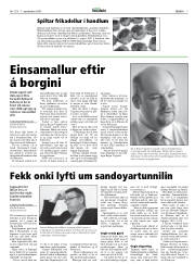 Síða 7