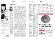 Síða 17