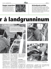 Síða 11