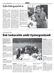 Síða 17