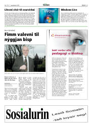 Síða 29