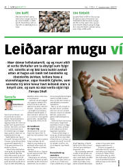 Síða 4