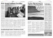 Síða 3