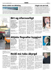 Síða 17