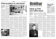 Síða 6
