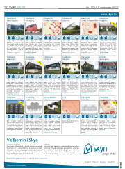 Síða 20