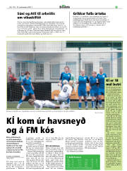 Síða 25