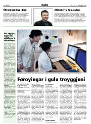 Síða 14